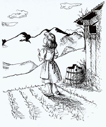 1.jpg (43980 �ֽ�)