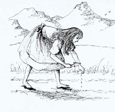 6.jpg (33190 �ֽ�)